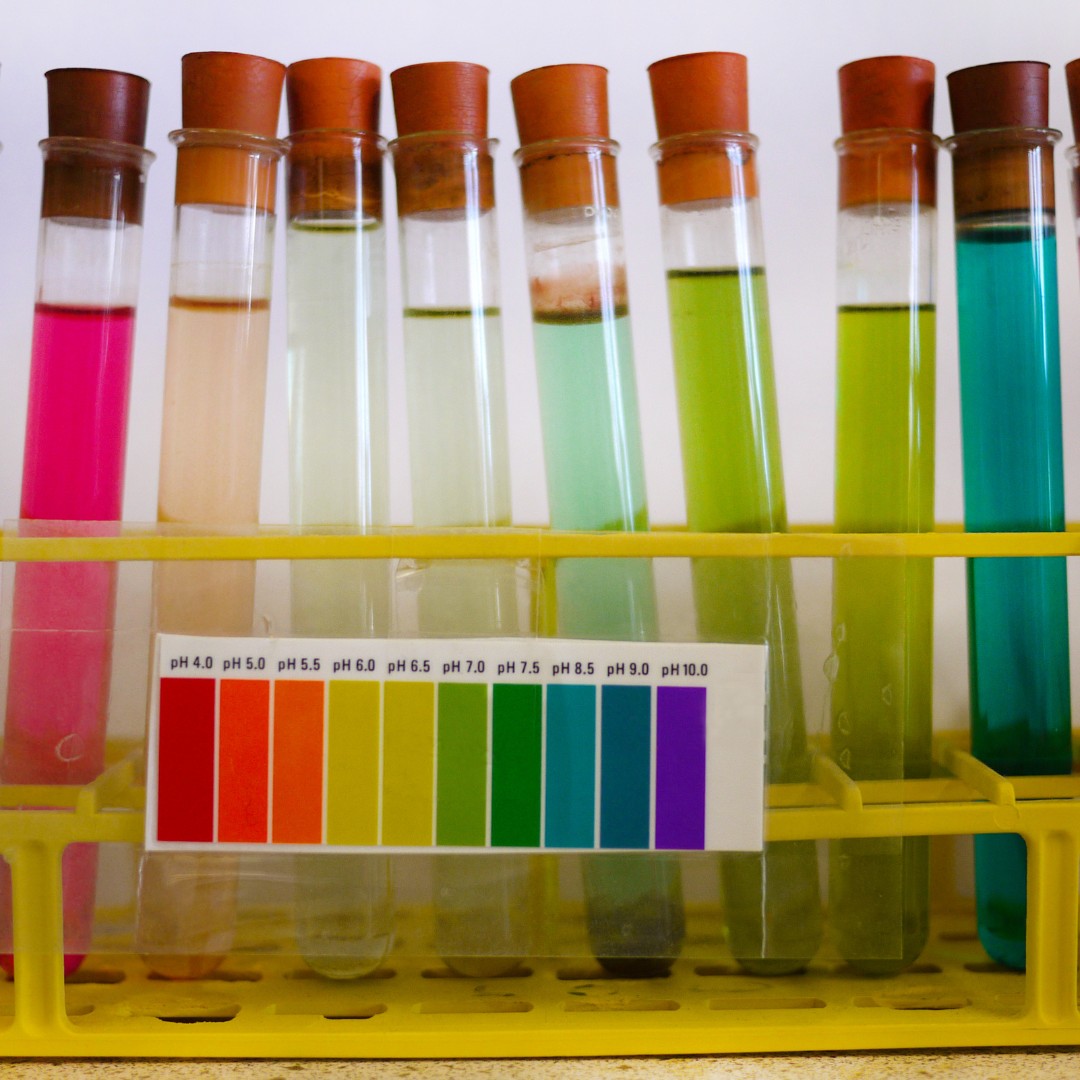 pH skóry psa i kota